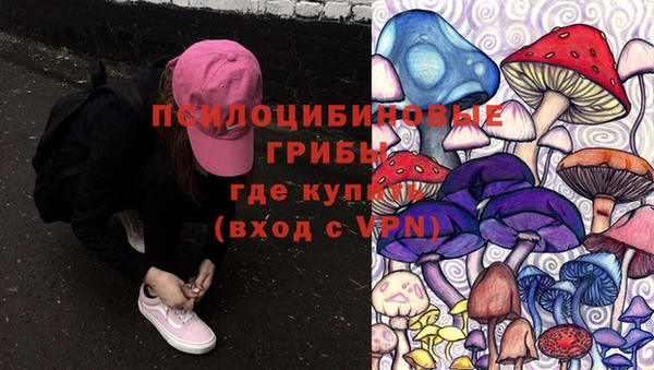 кокаин премиум Козельск