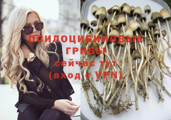 а пвп мука Козловка
