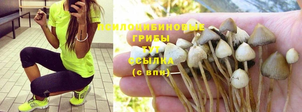 а пвп мука Козловка