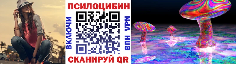 Купить  Ветлуга  Псилоцибиновые грибы Magic Shrooms 